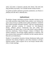 Kuo šiuolaikinis žmogus gali pasimokyti iš grožinės literatūros veikėjų? 3 puslapis
