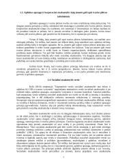 Verslo etika: kaip verslas gali būti atsakingesnis už verslo socialinę atsakomybę 6 puslapis