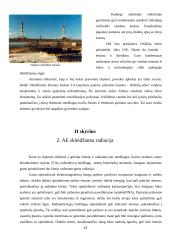 Branduolinė energetika Lietuvoje (referatas) 12 puslapis