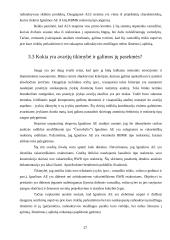 Branduolinė energetika Lietuvoje (referatas) 16 puslapis