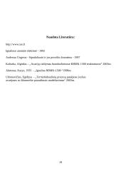 Branduolinė energetika Lietuvoje (referatas) 18 puslapis