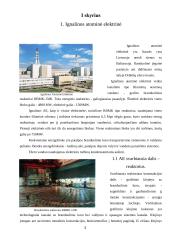 Branduolinė energetika Lietuvoje (referatas) 2 puslapis