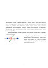 Branduolinė energetika Lietuvoje (referatas) 4 puslapis