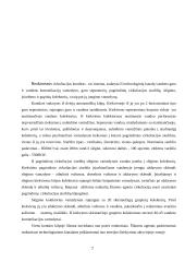 Branduolinė energetika Lietuvoje (referatas) 6 puslapis