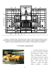 Branduolinė energetika Lietuvoje (referatas) 8 puslapis