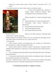 Branduolinė energetika Lietuvoje (referatas) 9 puslapis