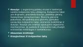 Kvėpavimo ligomis sergančio karščiuojančio paciento slauga 4 puslapis