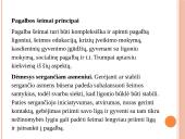 Pagalba psichikos ligomis sergančiųjų artimiesiems 17 puslapis
