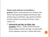 Pagalba psichikos ligomis sergančiųjų artimiesiems 18 puslapis