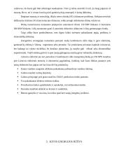 Branduolinė energetika. Europos Sąjungos energetikos politika 20 puslapis