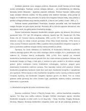 Branduolinė energetika. Europos Sąjungos energetikos politika 6 puslapis