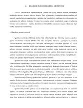 Branduolinė energetika. Europos Sąjungos energetikos politika 9 puslapis