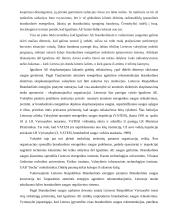 Branduolinė energetika. Europos Sąjungos energetikos politika 10 puslapis