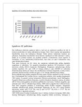 Branduolinė tarša Lietuvoje 6 puslapis