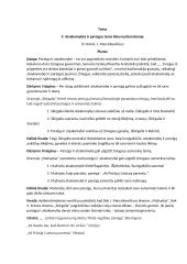 Atsakomybės ir pareigos tema lietuvių literatūroje. Kalbos planas