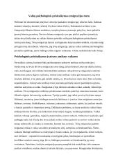 Psichologinis poveikis išsiskyrusių tėvų vaikams 11 puslapis