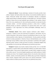 Psichologinis poveikis išsiskyrusių tėvų vaikams 4 puslapis