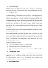 Psichologinis poveikis išsiskyrusių tėvų vaikams 6 puslapis