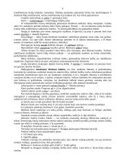 Būdingiausios mokinių stiliaus klaidos ir trūkumai 6 puslapis