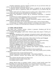 Būdingiausios mokinių stiliaus klaidos ir trūkumai 7 puslapis