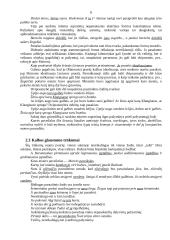 Būdingiausios mokinių stiliaus klaidos ir trūkumai 8 puslapis