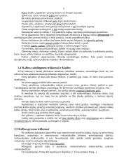 Būdingiausios mokinių stiliaus klaidos ir trūkumai 9 puslapis