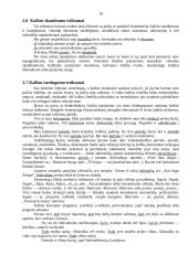 Būdingiausios mokinių stiliaus klaidos ir trūkumai 10 puslapis