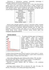 Buitinės atliekos 3 puslapis