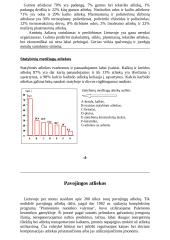 Buitinės atliekos 4 puslapis