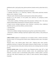 Bulgarijos ekonomika 5 puslapis