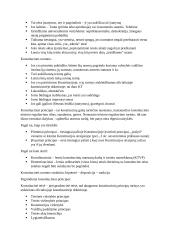 Konstitucinės teisės samprata (konspektas) 2 puslapis