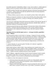 Prigimitinės teisės samprata 13 puslapis