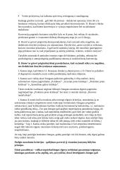 Prigimitinės teisės samprata 17 puslapis