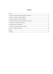 Būsimoji Europos Sąjungos politinė sistema 2 puslapis