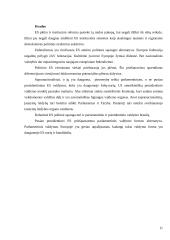 Būsimoji Europos Sąjungos politinė sistema 11 puslapis