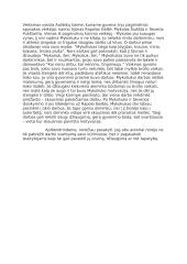 Darbo reikšmė lietuvių literatūroje 2 puslapis