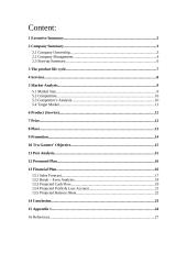 Business plan: company "Tru gamers"