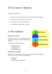 Business plan: company "Tru gamers" 15 puslapis