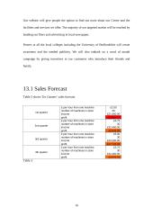 Business plan: company "Tru gamers" 17 puslapis