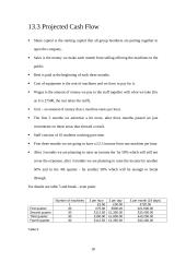 Business plan: company "Tru gamers" 19 puslapis