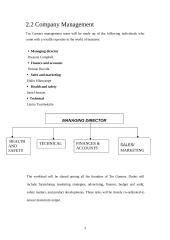 Business plan: company "Tru gamers" 4 puslapis