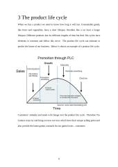 Business plan: company "Tru gamers" 7 puslapis