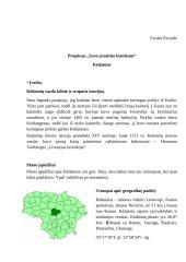 Geografijos projektas apie Kėdainius 3 puslapis