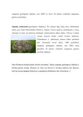 Geografijos projektas apie Kėdainius 6 puslapis