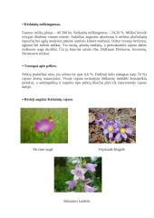 Geografijos projektas apie Kėdainius 9 puslapis