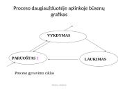 OS resursų valdymas 10 puslapis