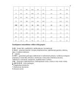 BVP kitimo dinamika 9 puslapis