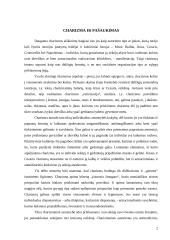 Charizma ir pašaukimas 2 puslapis