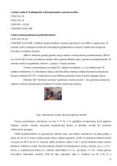 Cemento gamybos technologijos stebėjimas: AB "Akmenės cementas" 11 puslapis