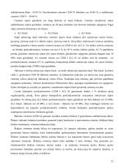 Cemento gamybos technologijos stebėjimas: AB "Akmenės cementas" 12 puslapis